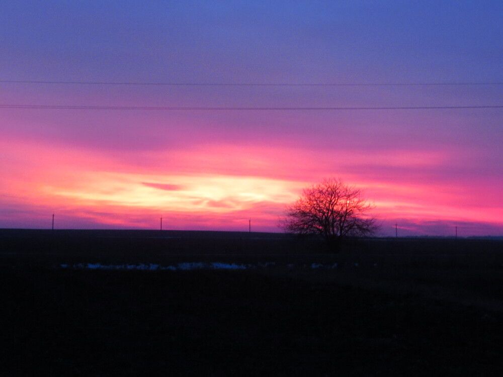 Photograph by Лариса Басова