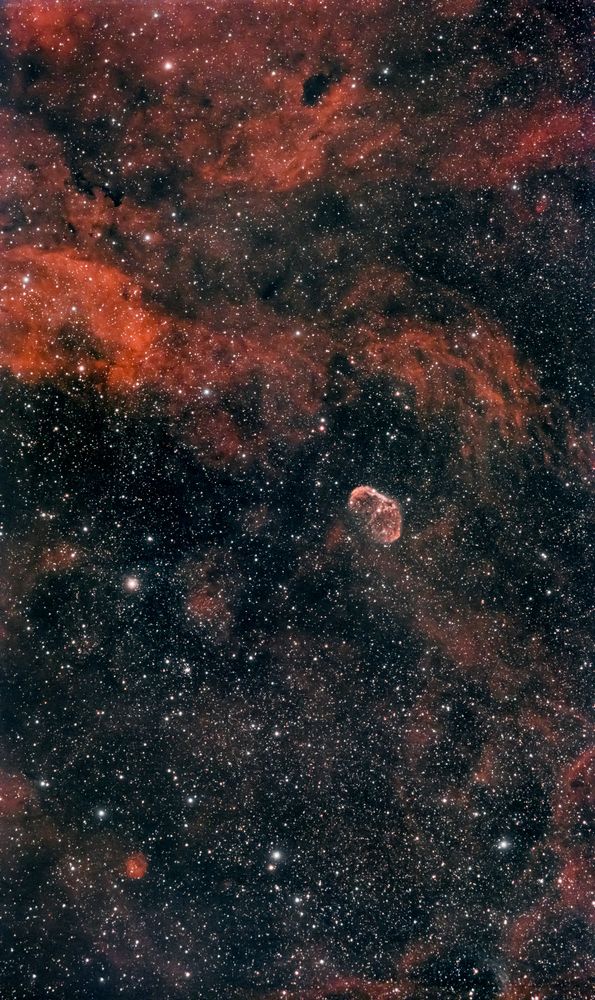 Photograph by Aleksander Perevolotsky