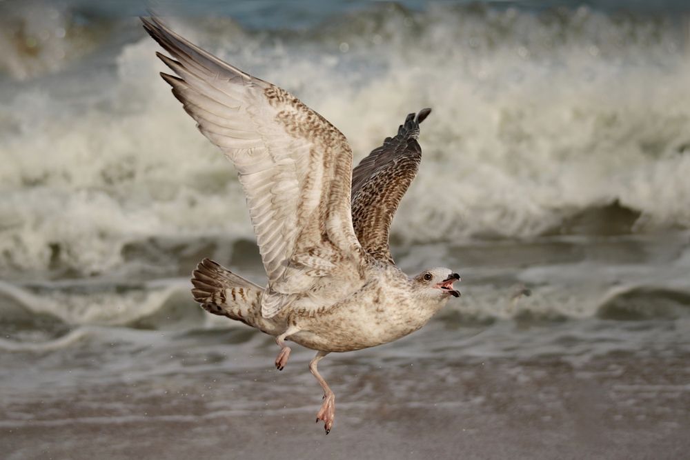 Photograph by Шруб (Беляева) Татьяна