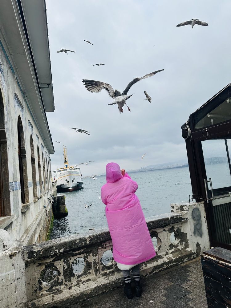 Photograph by Светлана Ионова