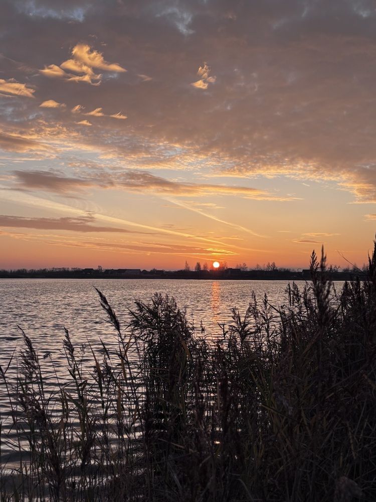 Photograph by Halina Mitsevich