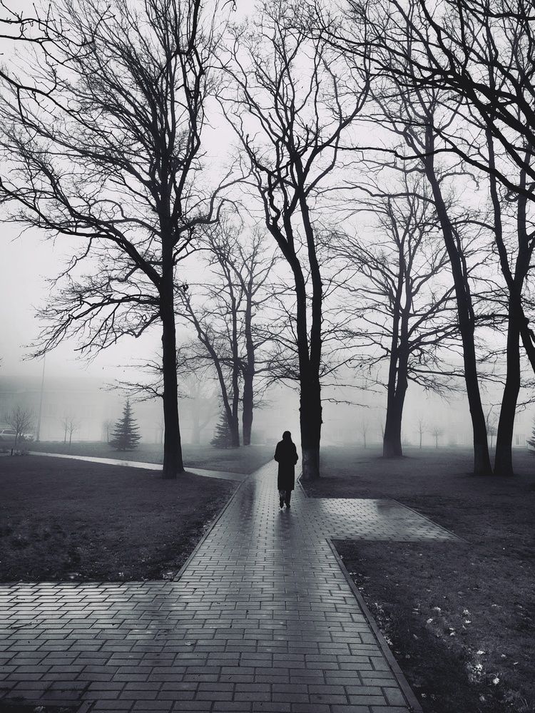 Photograph by Хоменчук Людмила