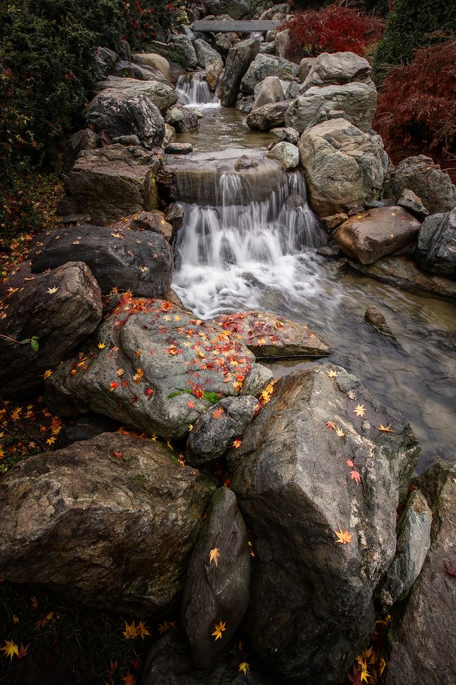 Photograph by Юлия Григорьева