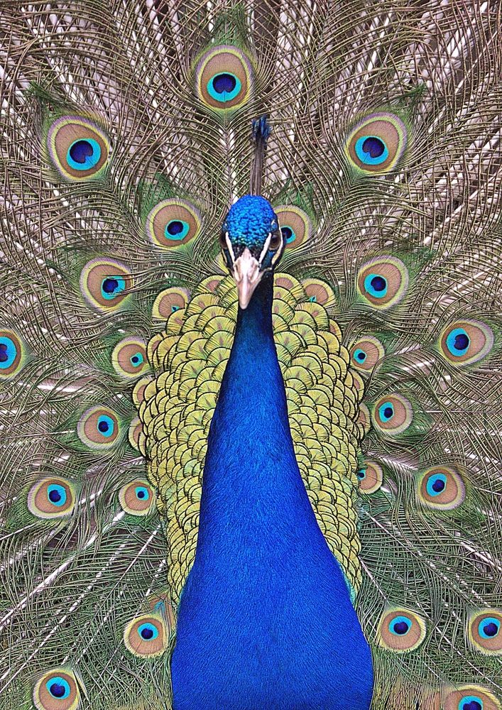 Фотография автора Mike MacLean