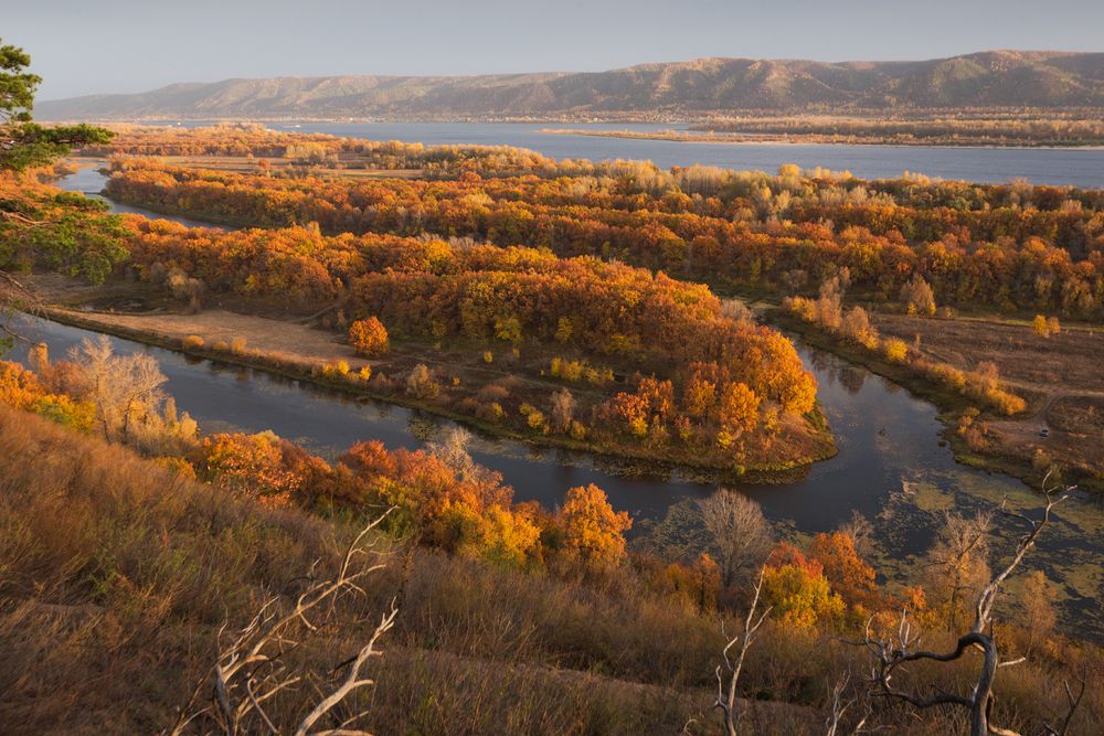 Фотография автора Алексей Проняхин