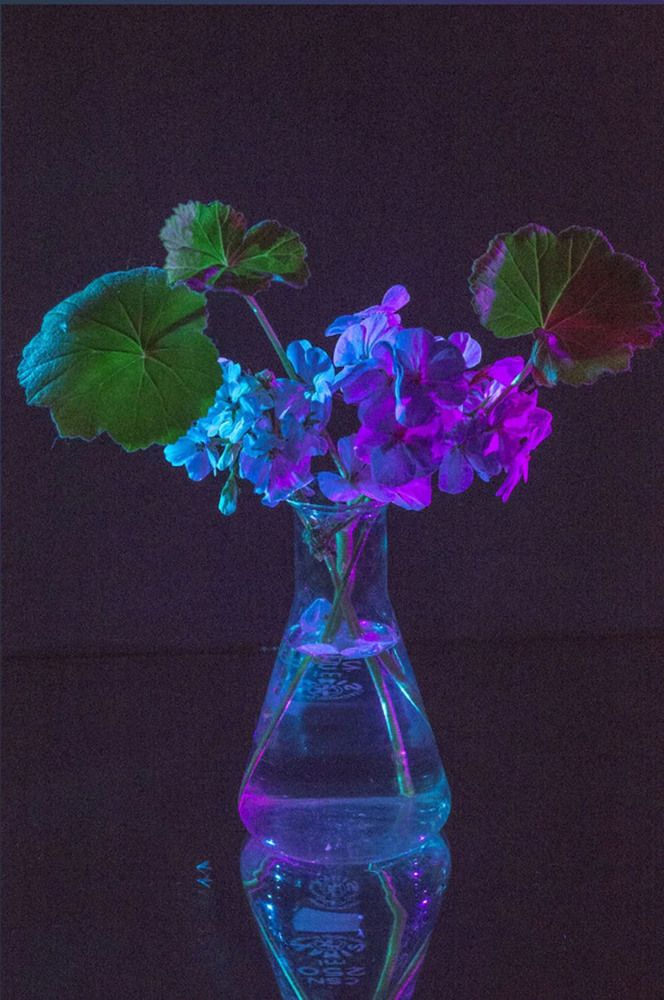 Photograph by Людмила Павловна