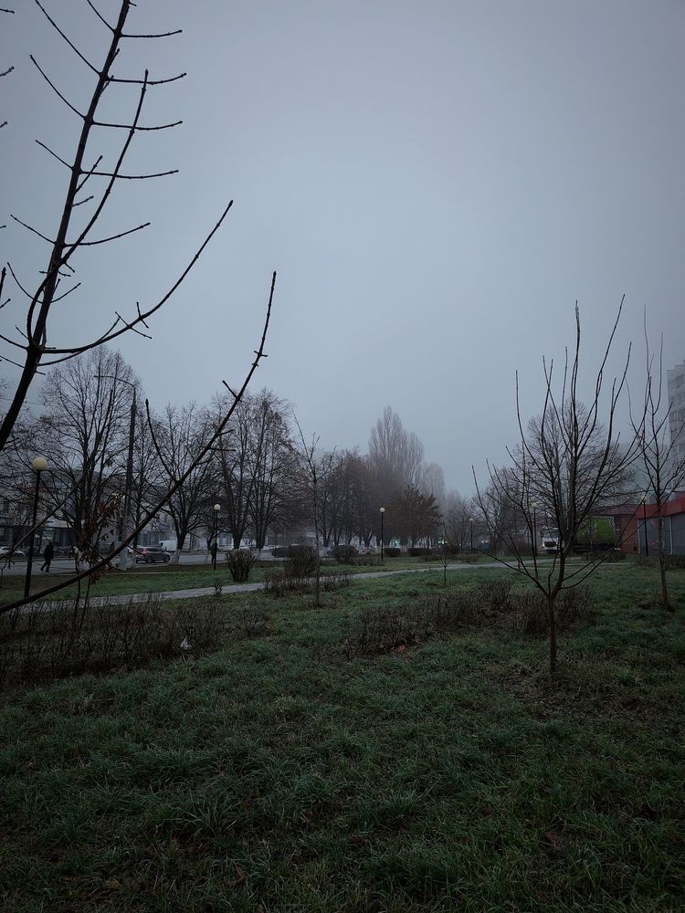 Photograph by Ксения Голубкова