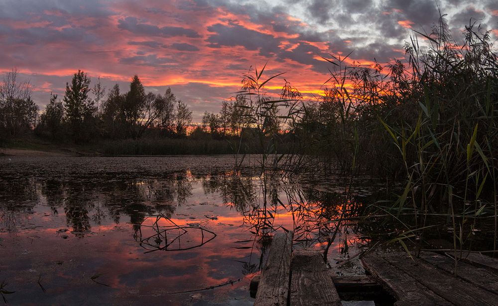 Фотография автора Борис Журавлёв