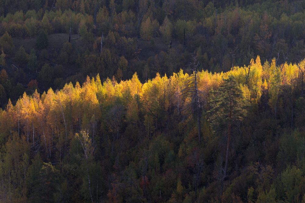 Photograph by Алексей Проняхин