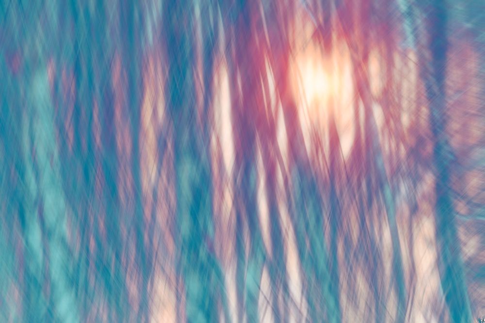 Фотография автора Наталья Дороднова