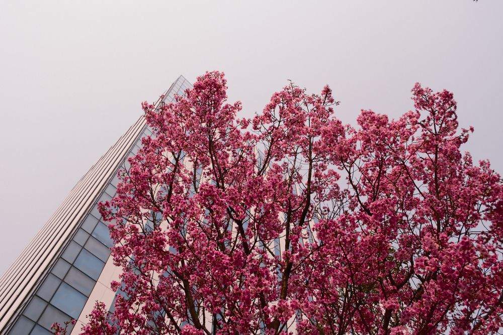 Photograph by Anirudh Merudi