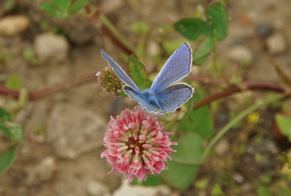 Photograph by сергей мишаков