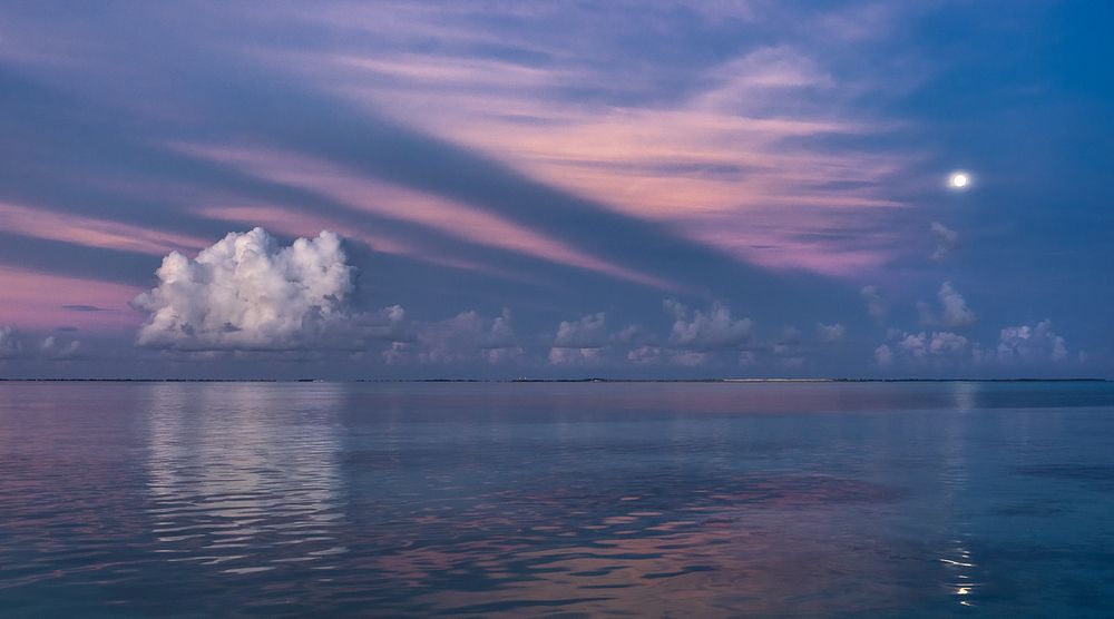 Photograph by Irina Ostapenko (Nepavlova)