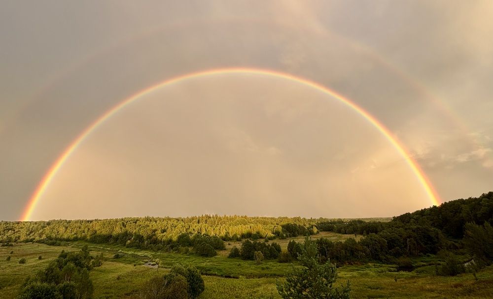 Photograph by Шаргородская Марина
