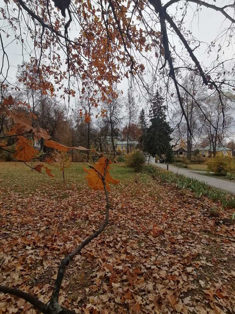 Усадьба Болдино