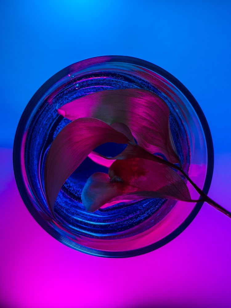 Photograph by Ася Жгенти