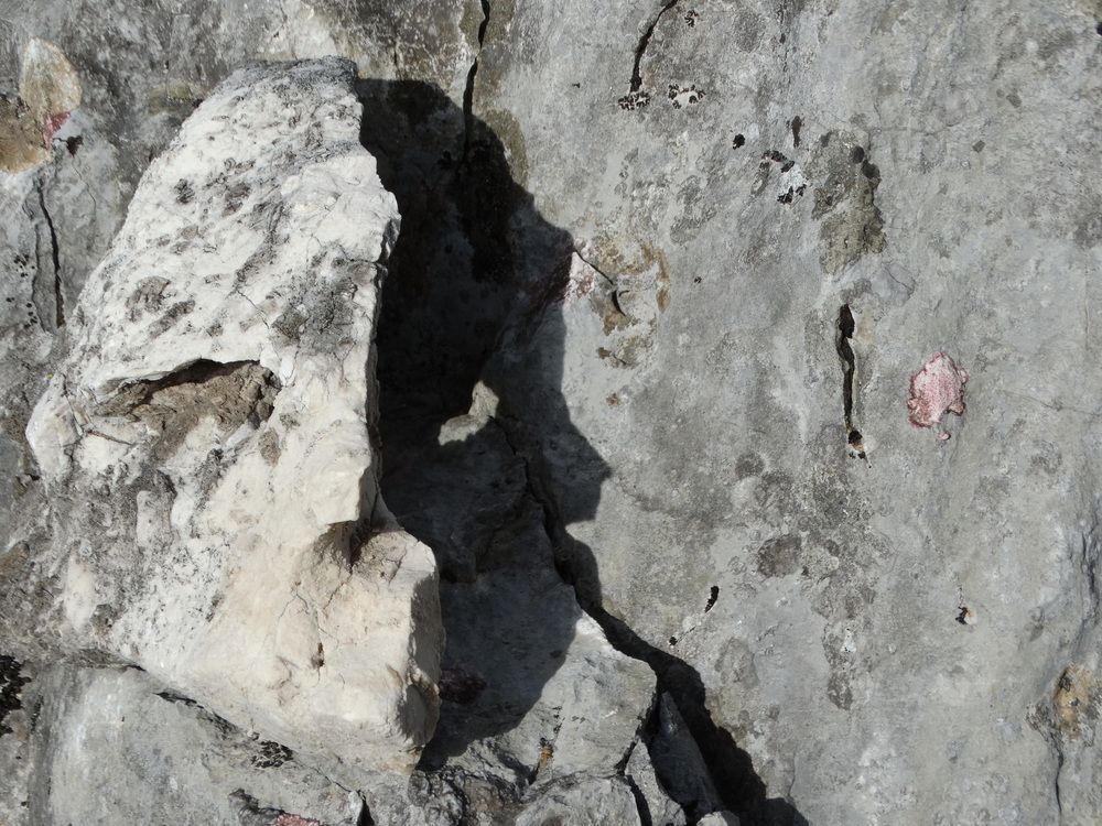 Фотография автора Ivan Ćetković