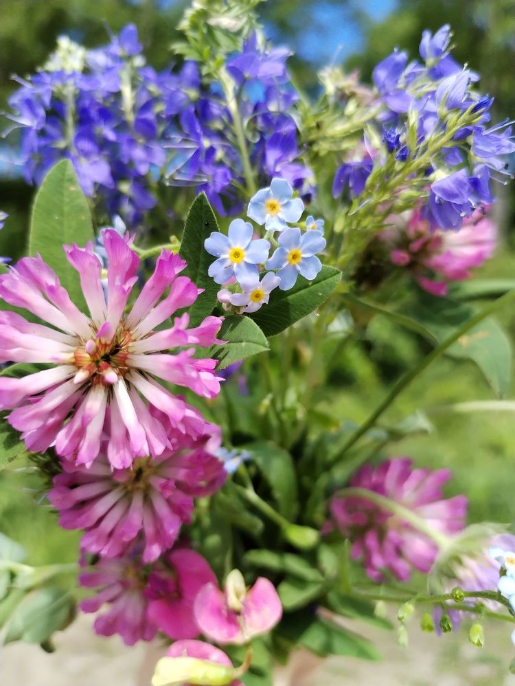 Photograph by Юлия Финогенова