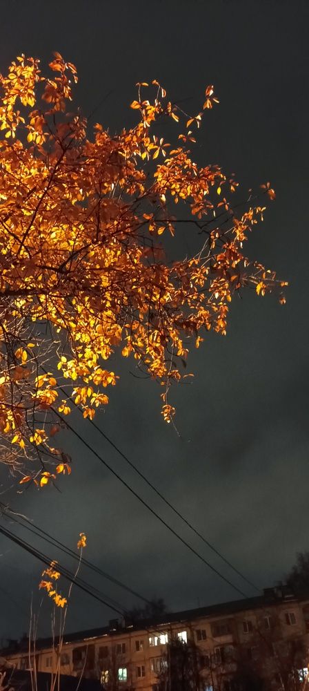 Photograph by Анна Нарышкина
