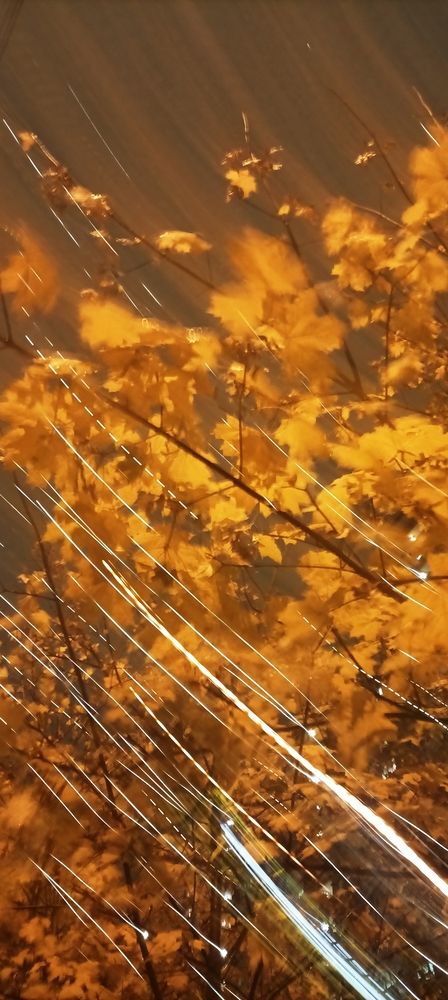 Photograph by Анна Нарышкина