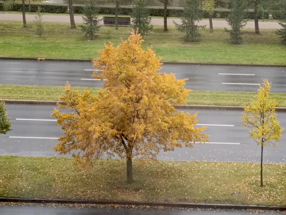 Осень