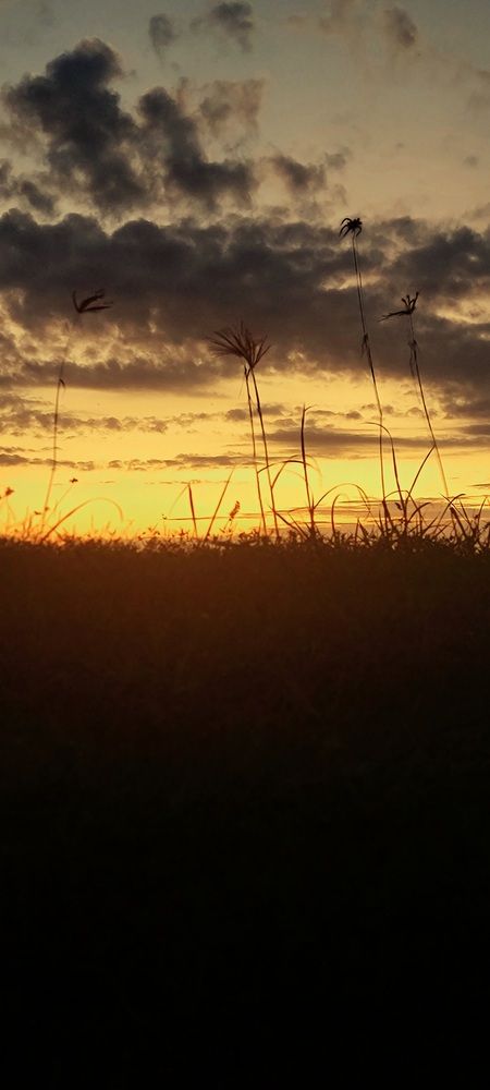Photo #12857975