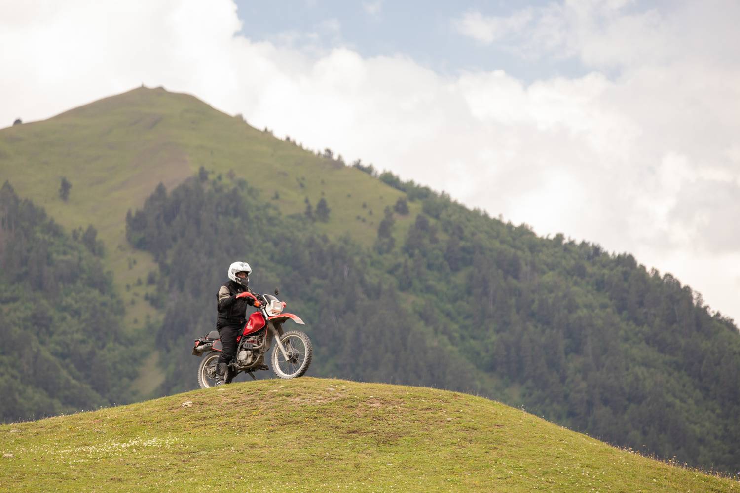 Фотография #12858008