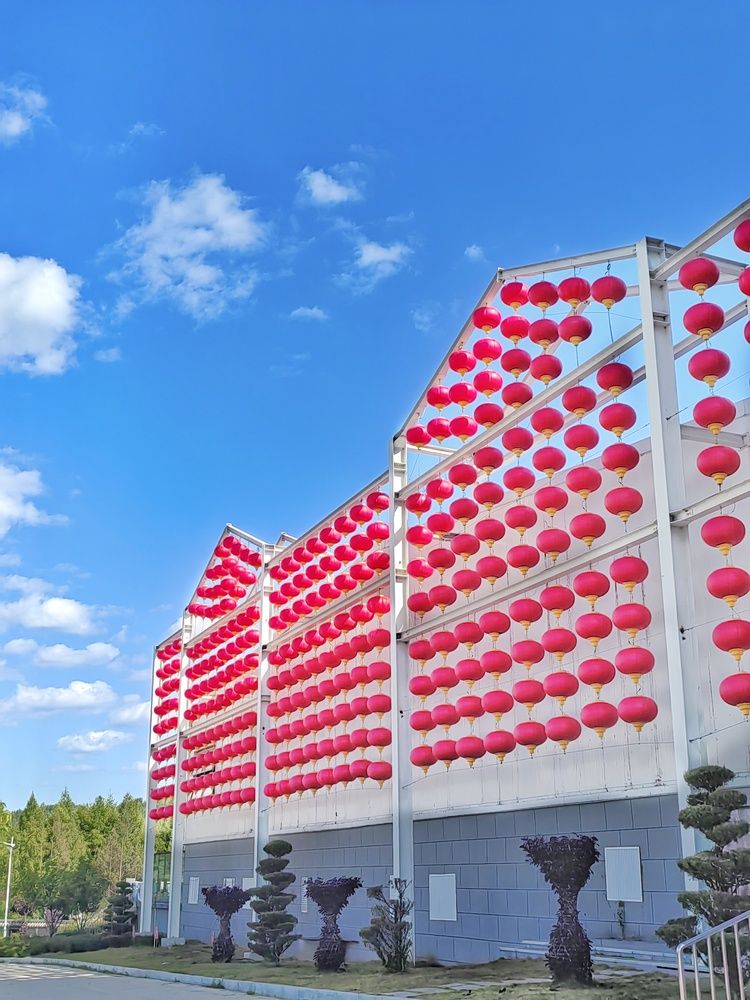 Фотография автора НАТАЛЬЯ СЕВЕР