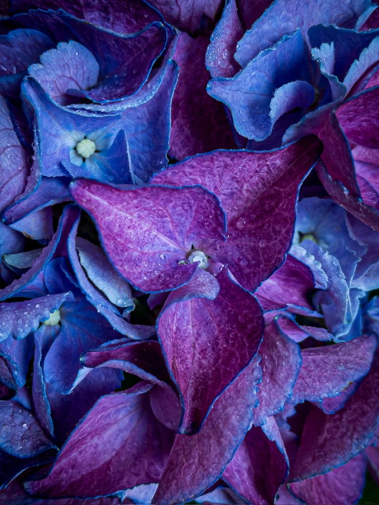 Photograph by Хавронина Марина