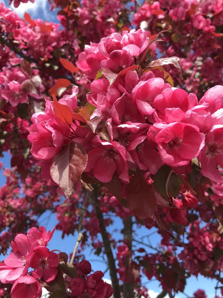 Photograph by Valentina Jegorova