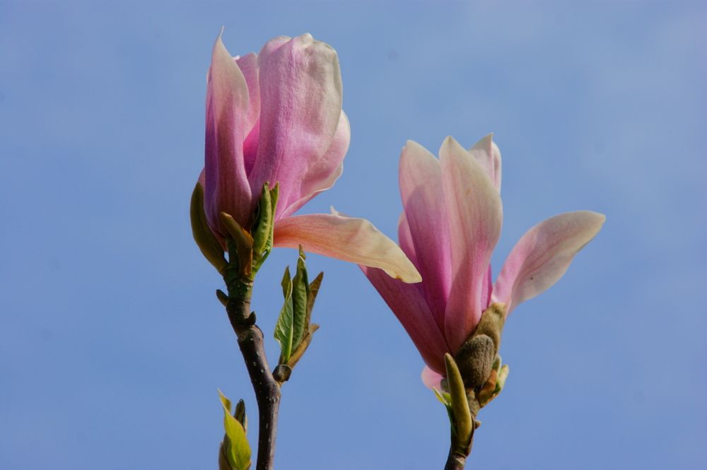 Фотография автора Sergej Roor