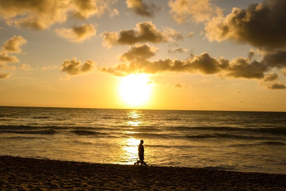 Photograph by Carmem D` Luca