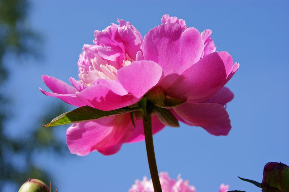 Фотография автора Sergej Roor