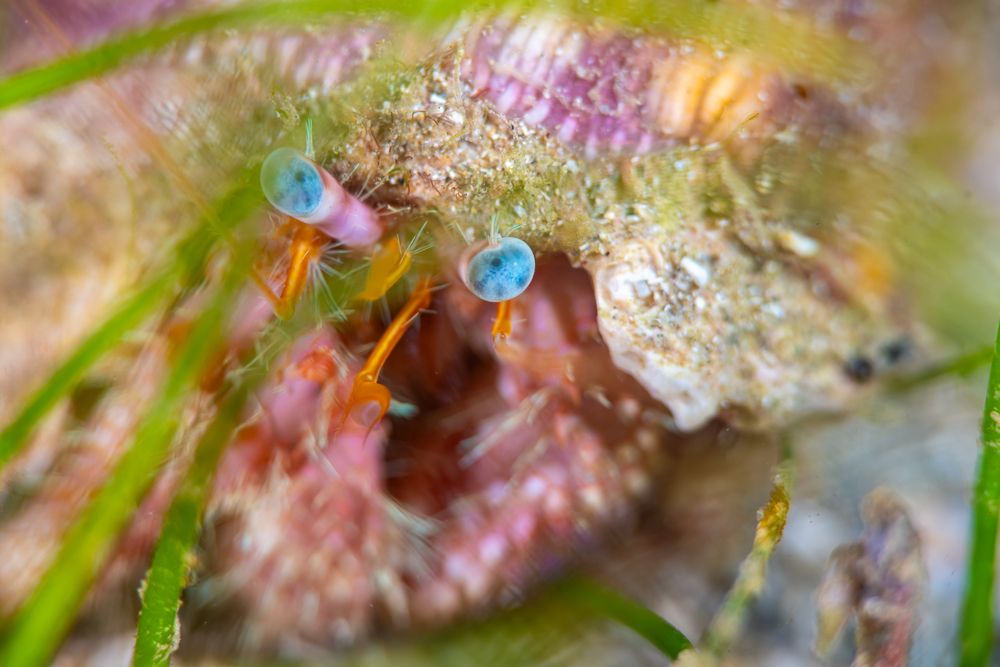 Photograph by Magali Márquez