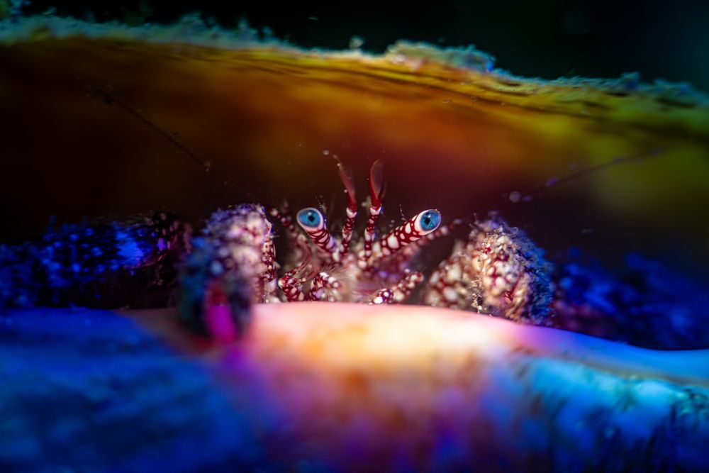 Photograph by Magali Márquez