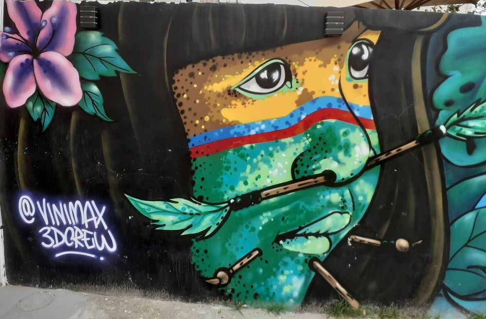 Grafite de uma indígena brasileira