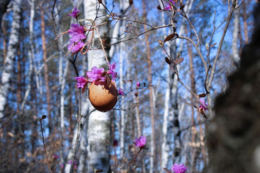 Фотография автора Екатерина Пачина