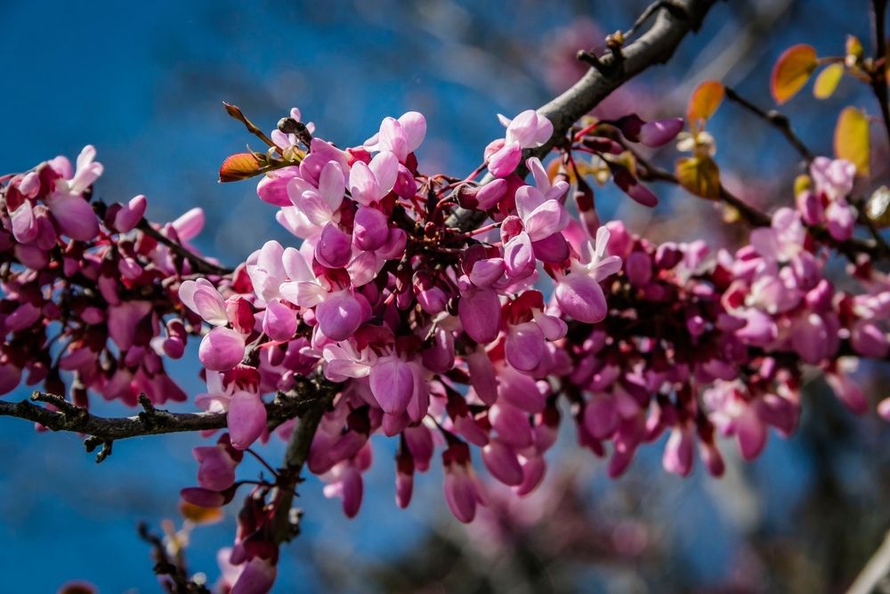 Photograph by Игорь Сидун