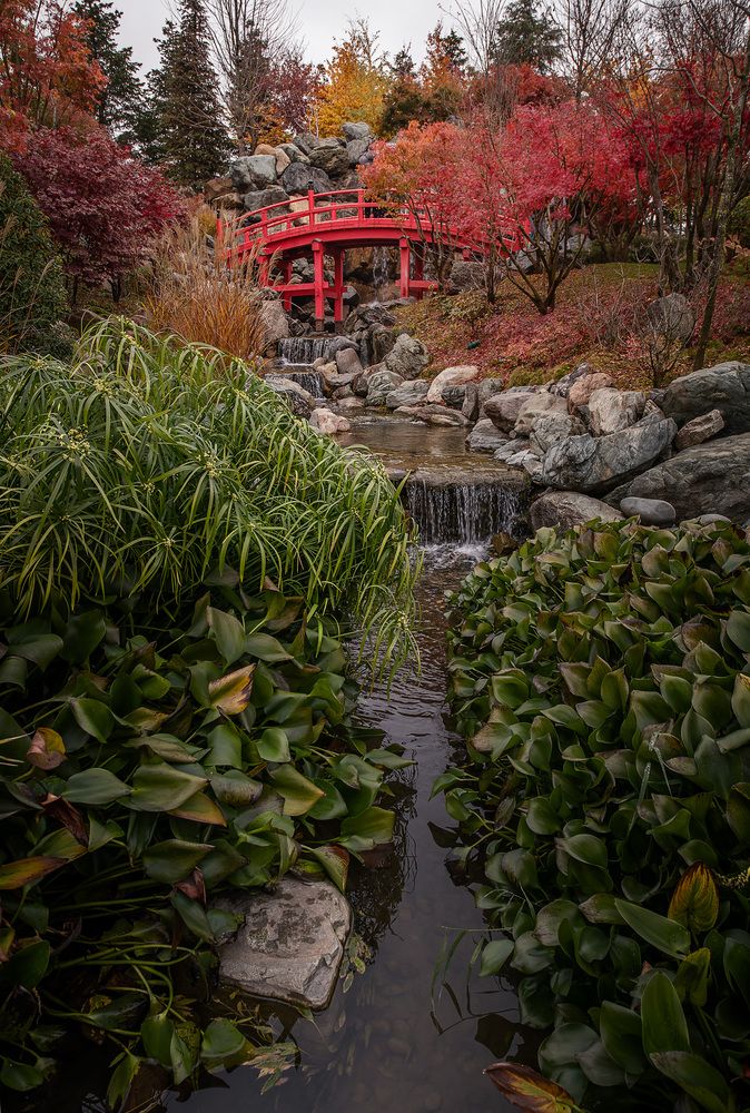 Photograph by Юлия Григорьева