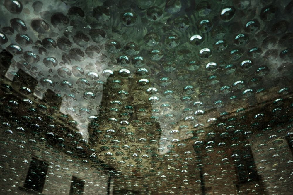 Фотография автора Fateme Jamali