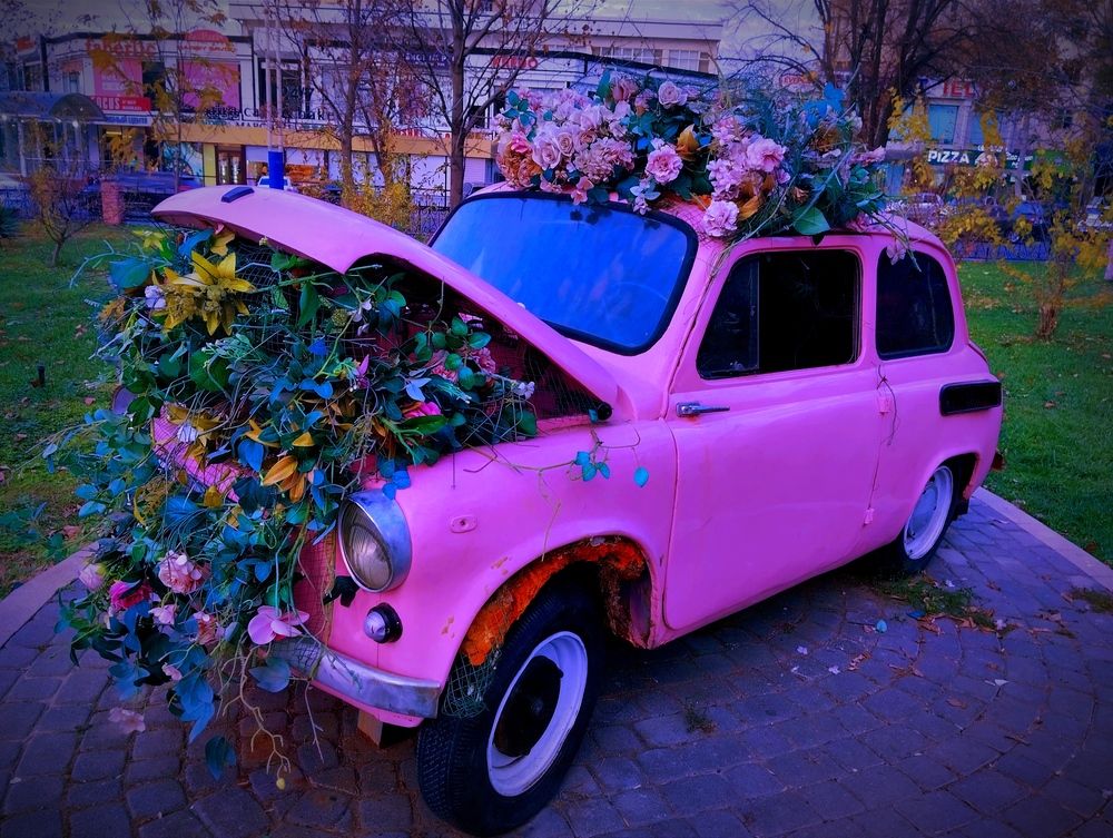 Фотография автора Hvabek Kim