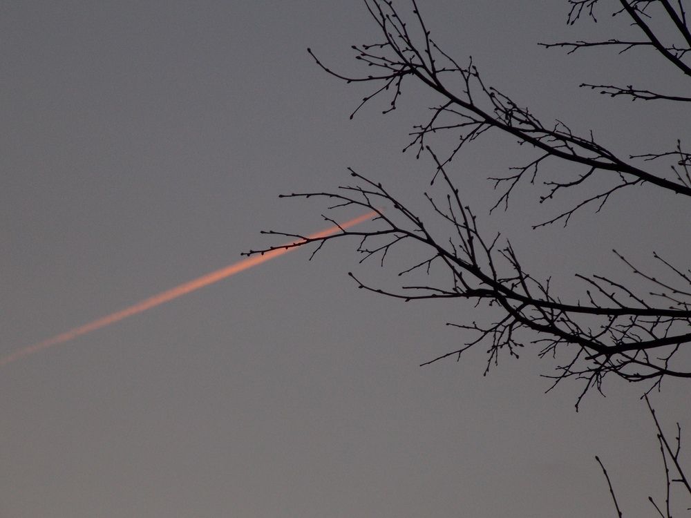 Фотография автора Антонина Клементьева