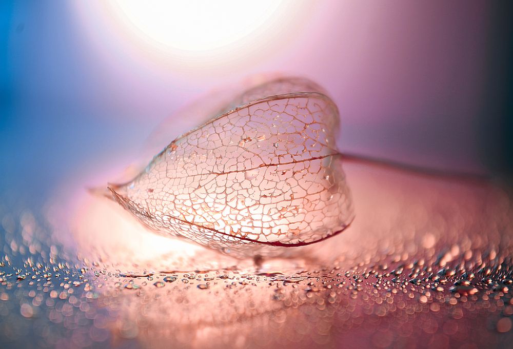 Photograph by Светлана Кавказская