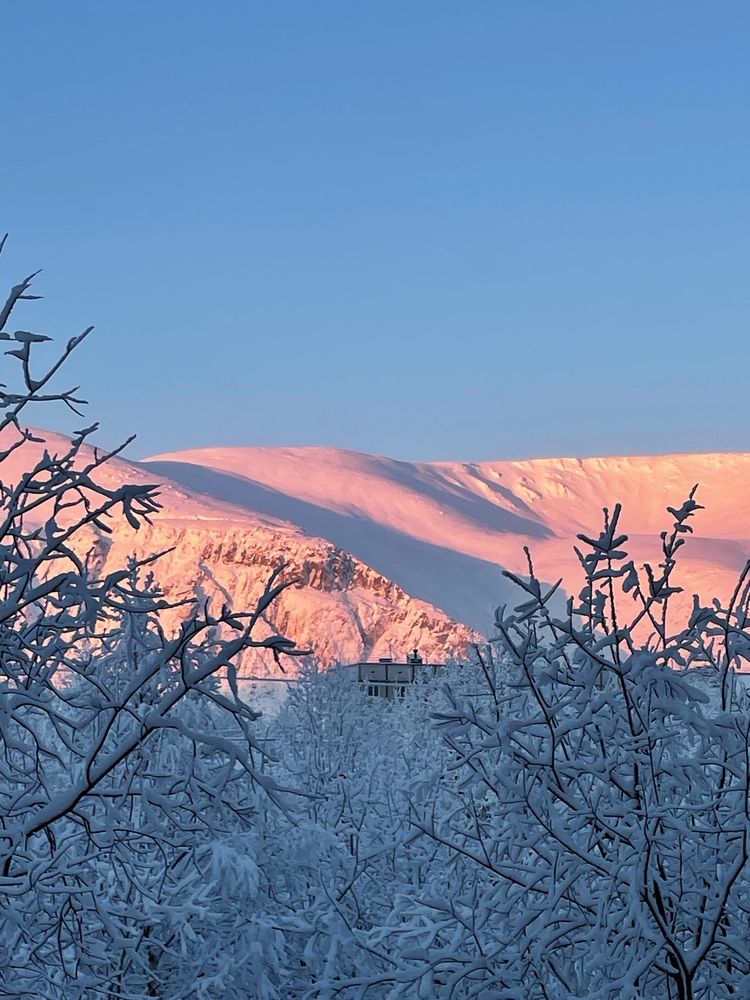 Photograph by Марина Мирошниченко