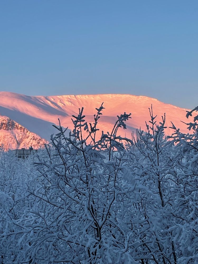 Photograph by Марина Мирошниченко