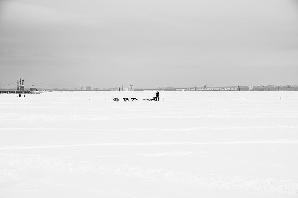 Photograph by Елена Берсенёва