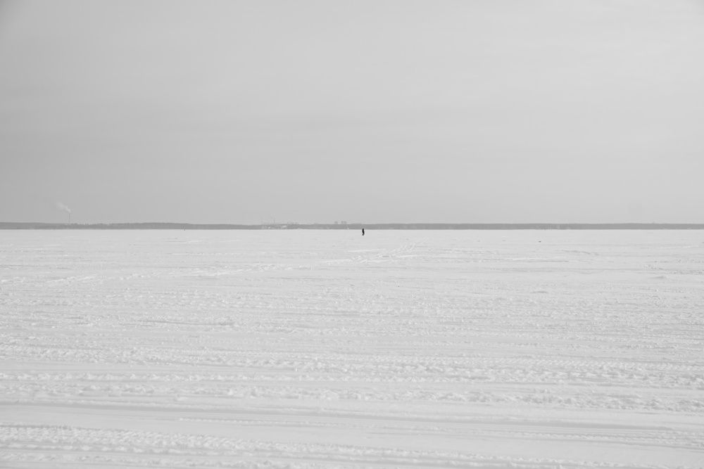 Photograph by Елена Берсенёва