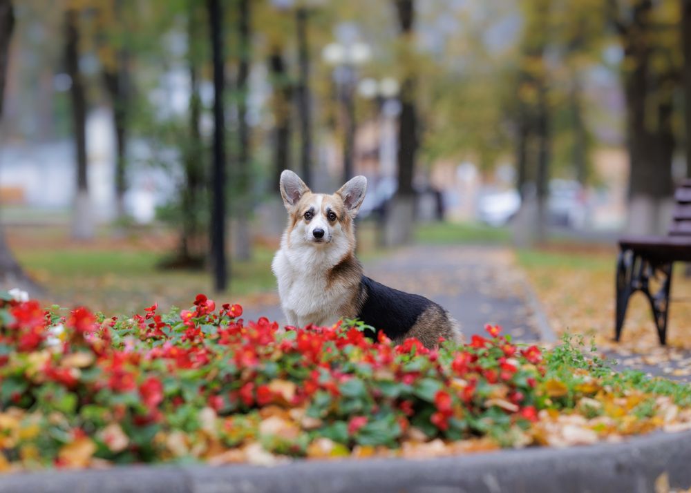 Photograph by Наталья Кирина