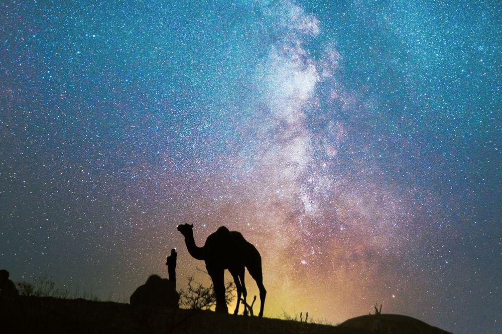 Photograph by prashant bamnawat