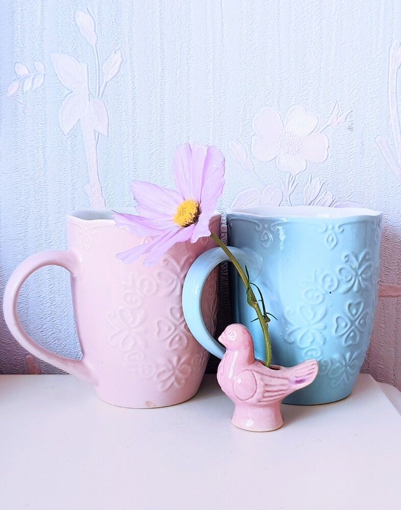 Фотография автора Елена Александрова